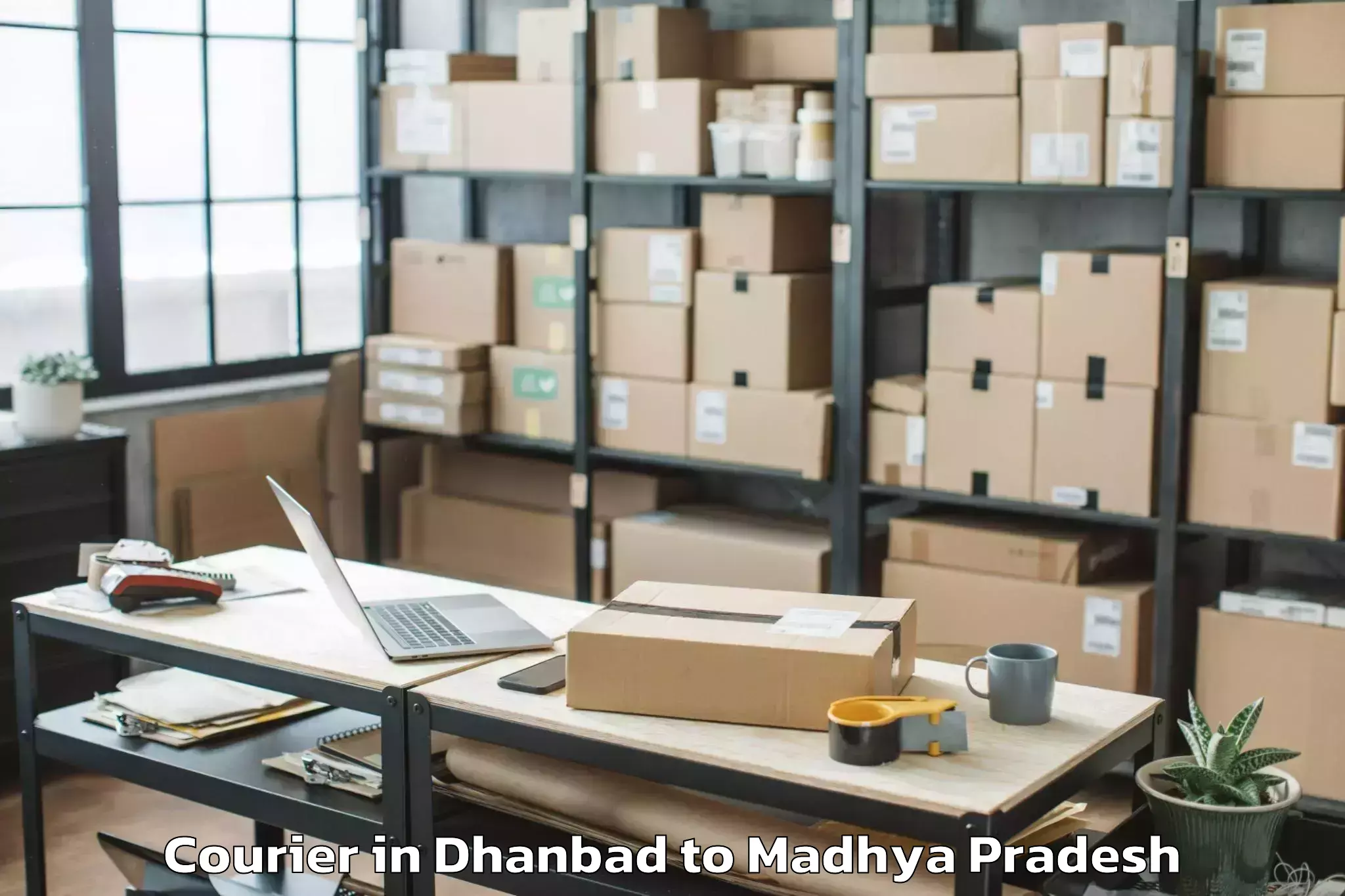 Efficient Dhanbad to Nasrullahganj Courier